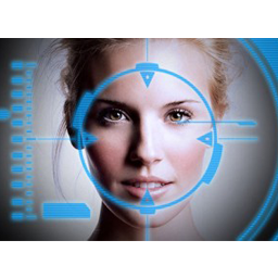 Long Range Surveillance Cameras